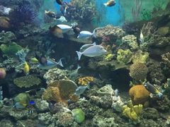 -常州海昌海洋探索馆