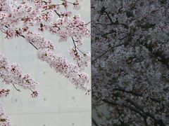 -龙美术馆(西岸馆)