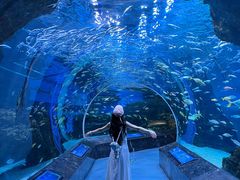 -海合安成都极地海洋公园