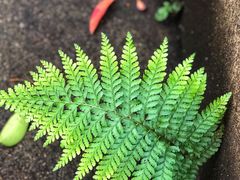 -西南交通大学(峨眉校区)