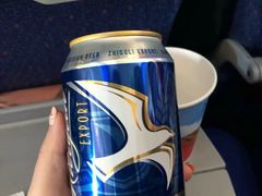 -谢列梅捷沃国际机场