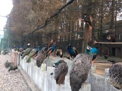 -南京金牛湖风景区