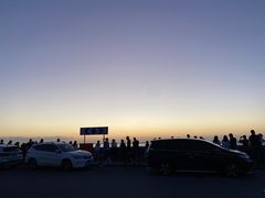 -春花秋色城市公园