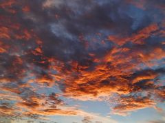 -南宁良凤江国家森林公园