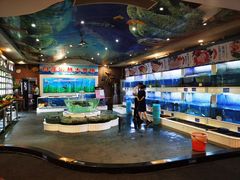 水产区-益利大酒楼(井岸店)
