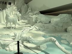 -中国湿地博物馆
