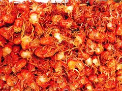 -回味南塘老王虾尾(总店)
