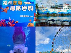 -左海海底世界
