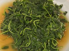 -双塔老饭店