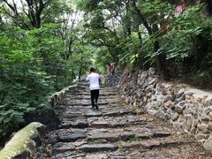 -阳台山自然风景区