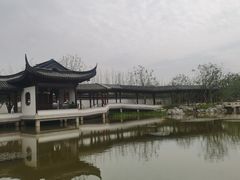 -上海滨江森林公园