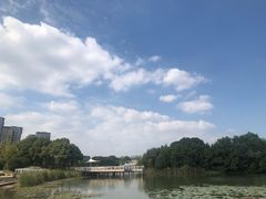 -新江湾城公园