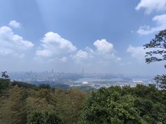 -紫金山天文台