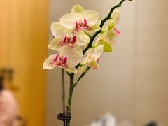 -梅间堂茶馆(绿地缤纷城店)
