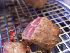 黑椒牛肉粒-金龙烧烤·牛肉面(西塔店)