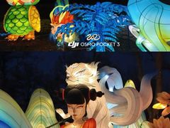 -淄博花灯齐彩城
