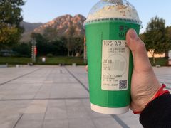 -雾与山茶(大禹城店)