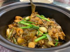 -金记猪肚鸡(琅西店)