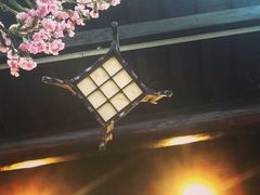 -猫的天空之城概念书店(杭州南宋御街店)