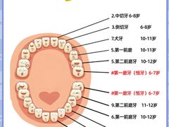 -上海市徐汇区口腔医院