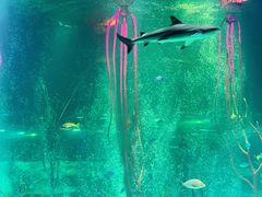 -沈阳海洋探索中心