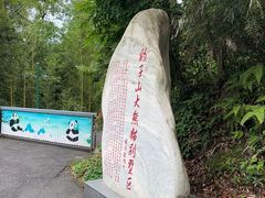-中国大熊猫保护研究中心雅安碧峰峡基地