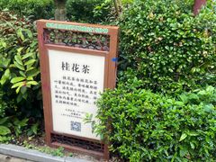 -英德宝晶宫天鹅湖茶语温泉