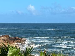 -广东惠东海龟国家级自然保护区