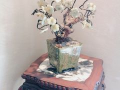 -顺峰(农展馆店)