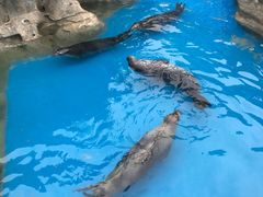 -华夏文旅海洋公园