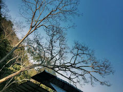 -广西龙虎山风景区