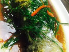 蒸黄花鱼-陆记鹅庄·潮汕菜·狮头鹅(大仟里店)