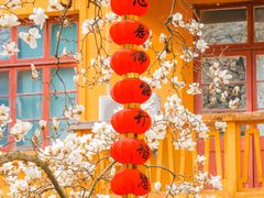-杭州上天竺法喜讲寺