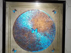 -上海昆虫博物馆