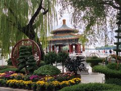 -寿州大饭店·餐厅