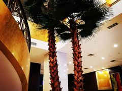 -温州华侨饭店(信河街店)