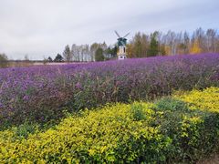 -北纬44度·金珠花海休闲农业旅游景区
