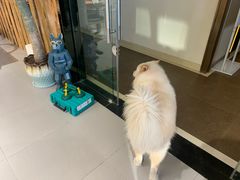 -肆兮眼镜·蔡司·徕卡战略合作店(大坪店)