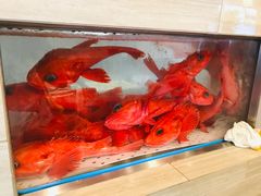 -避风塘潮粤海鲜酒楼