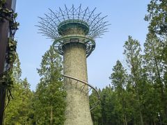 -黄海国家森林公园