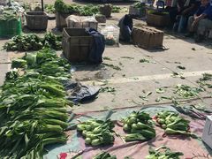 -何庄子阿米玛玛农产品批发市场