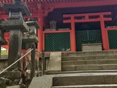 -奈良公园