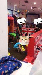 -都乐汇儿童乐园(莱蒙都会店)