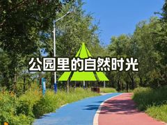 -绿堤公园