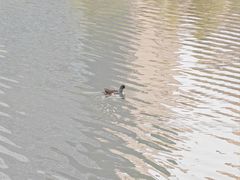 -后襄河公园