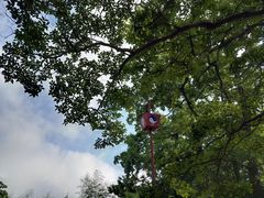 -青岛崂山太清宫