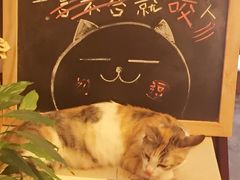 -看书吧(体育东横路店)