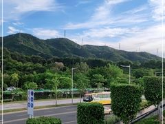 -白石龙音乐公园
