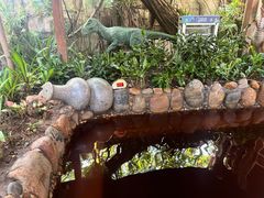 -泉眼温泉