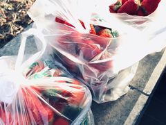 -北京清河镇农副产品交易市场中心